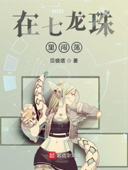 在七龙珠里闯荡 cover 封面