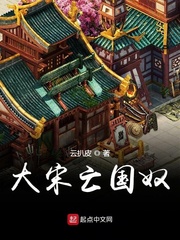 大宋亡国奴 cover 封面