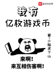 我有亿枚游戏币 cover 封面