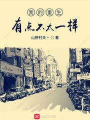 我的重生有点不太一样 cover 封面