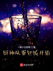 厨神从蛋包饭开始 cover 封面