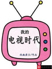 我的电视时代 cover 封面