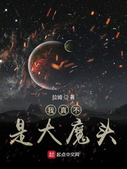 我真不是大魔头 cover 封面
