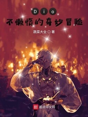 Dio不懒惰的奇妙冒险 cover 封面