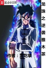 龙珠之逆袭雅木茶 cover 封面