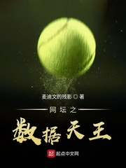 网坛之数据天王 cover 封面
