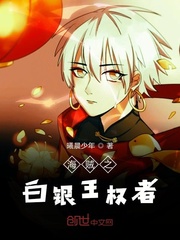 海贼之白银王权者 cover 封面
