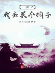三国之我去买个橘子 cover 封面