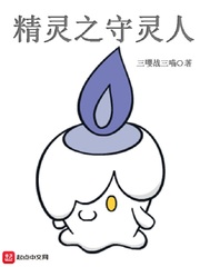 精灵之守灵人 cover 封面