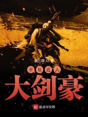 平易近人大剑豪 cover 封面