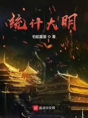 统计大明 cover 封面