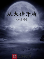 从大佬开局 cover 封面