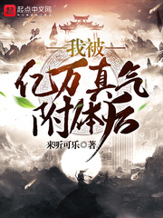我被亿万真气附体后 cover 封面