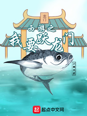 西游之我要跃龙门 cover 封面