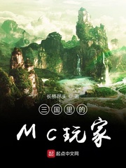 三国里的MC玩家 cover 封面