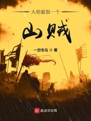 大明最狠一个山贼 cover 封面