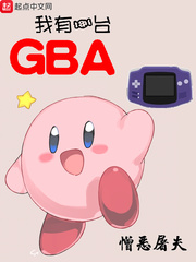 我有一台GBA cover 封面