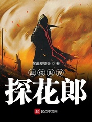 武侠世界探花郎 cover 封面