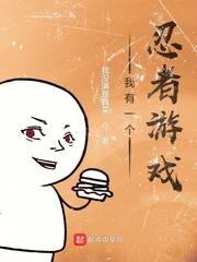 我有一个忍者游戏 cover 封面
