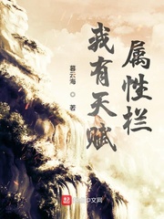 我有天赋属性栏 cover 封面