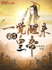 一觉醒来当了皇帝 cover 封面
