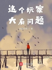 这个玩家大有问题 cover 封面