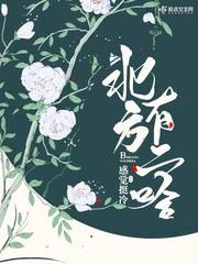 北方有二哈 cover 封面