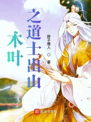 木叶之道士出山 cover 封面