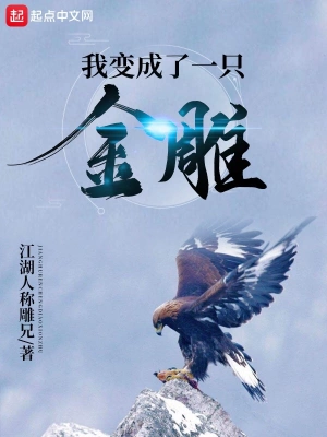 我变成了一只金雕 cover 封面