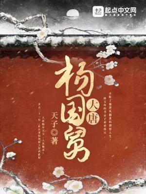 大唐杨国舅 cover 封面