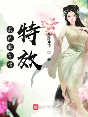 我的武功带特效 cover 封面