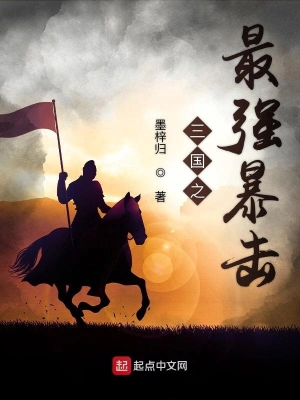 三国之最强暴击 cover 封面