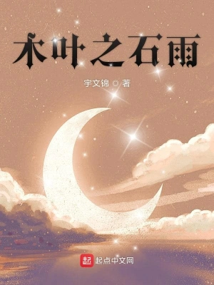 木叶之石雨 cover 封面