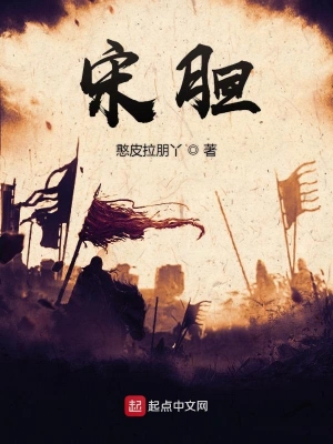 宋胆 cover 封面