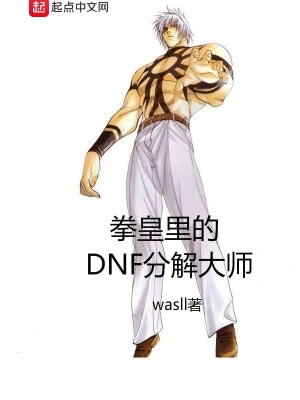 拳皇里的DNF分解大师 cover 封面