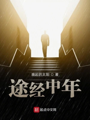 途经中年 cover 封面