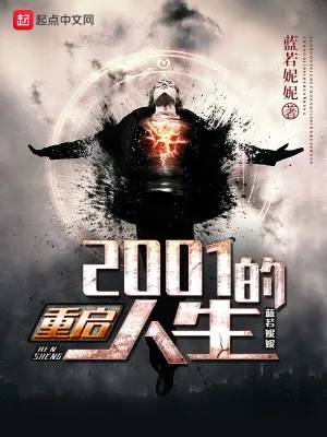 重启2001的人生 cover 封面