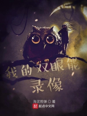 我的双眼能录像 cover 封面