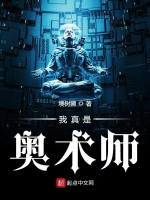 我真是奥术师 cover 封面