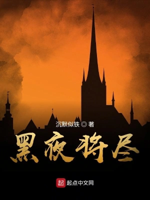 黑夜将尽 cover 封面