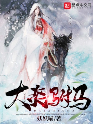 大炎驸马 cover 封面