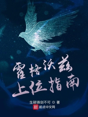 霍格沃兹上位指南 cover 封面