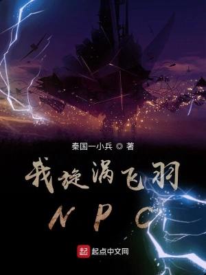 我旋涡飞羽NPC cover 封面