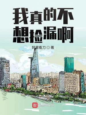 我真的不想捡漏啊 cover 封面