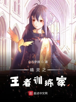 精灵之王者训练家 cover 封面