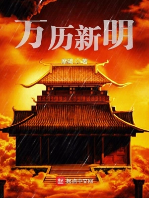 万历新明 cover 封面