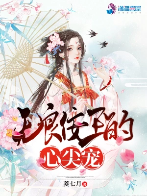 无良佞王的心尖宠 cover 封面