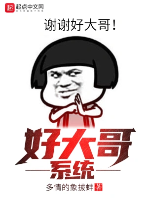 好大哥系统 cover 封面