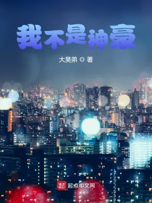 我不是神豪 cover 封面