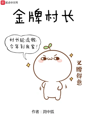 金牌村长 cover 封面